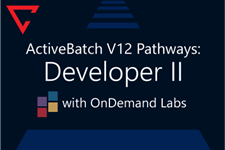 ActiveBatch Pathways: Developer II