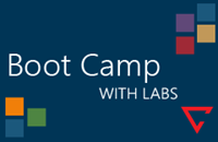 V11 Boot Camp with OnDemand Labs